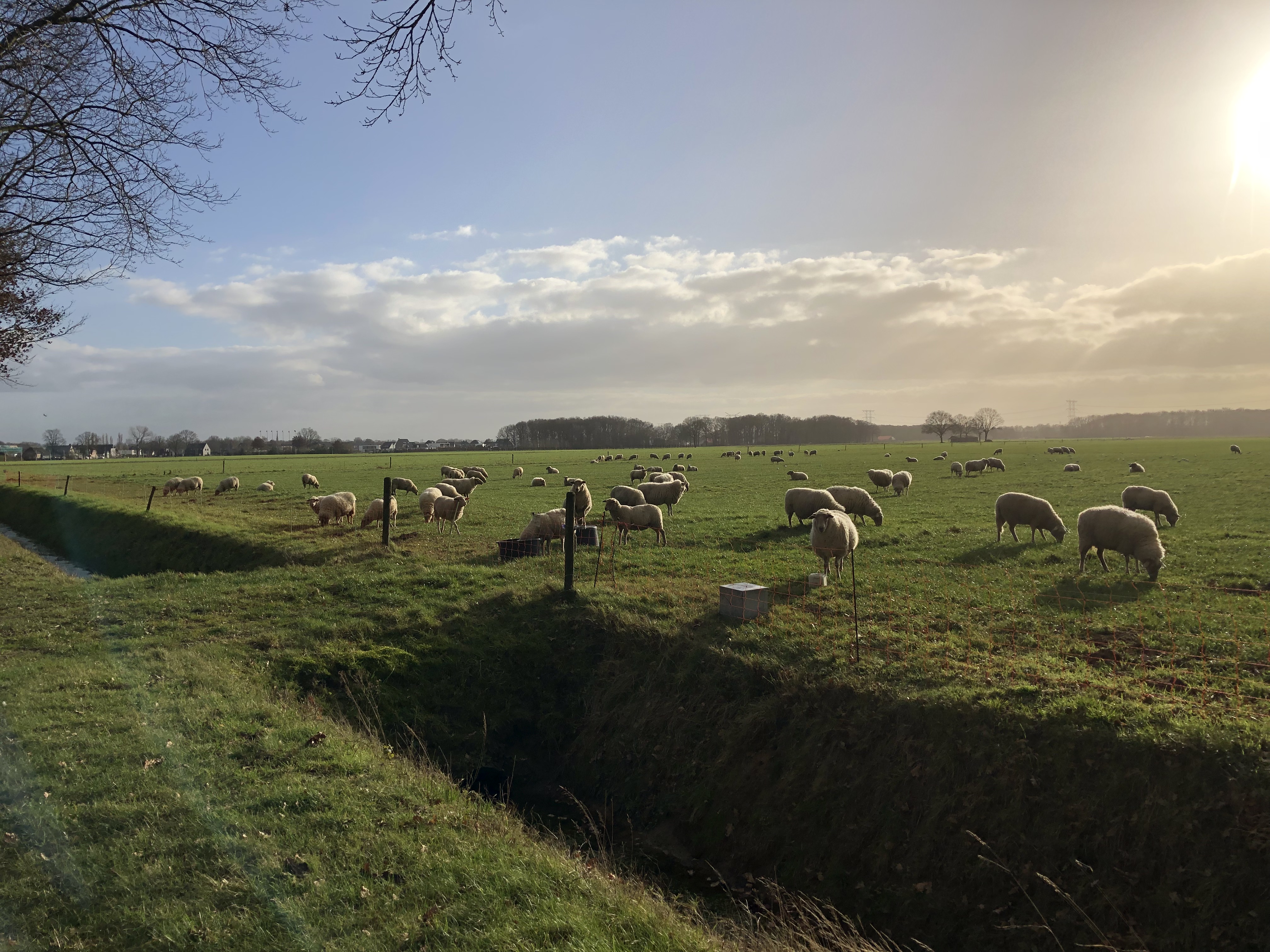 Dwars door Landschap Pauwels