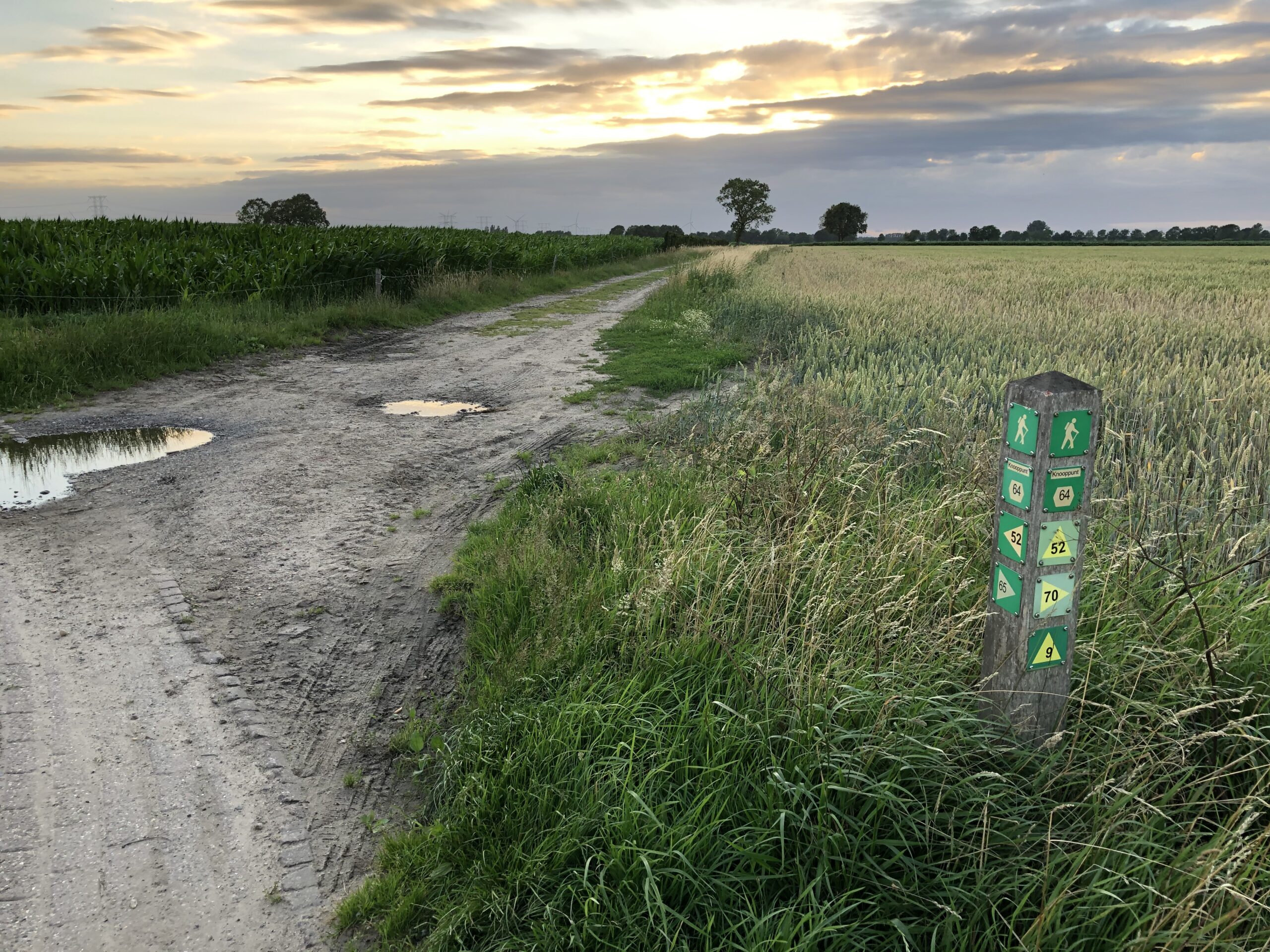 Pauwelspad (33 km)