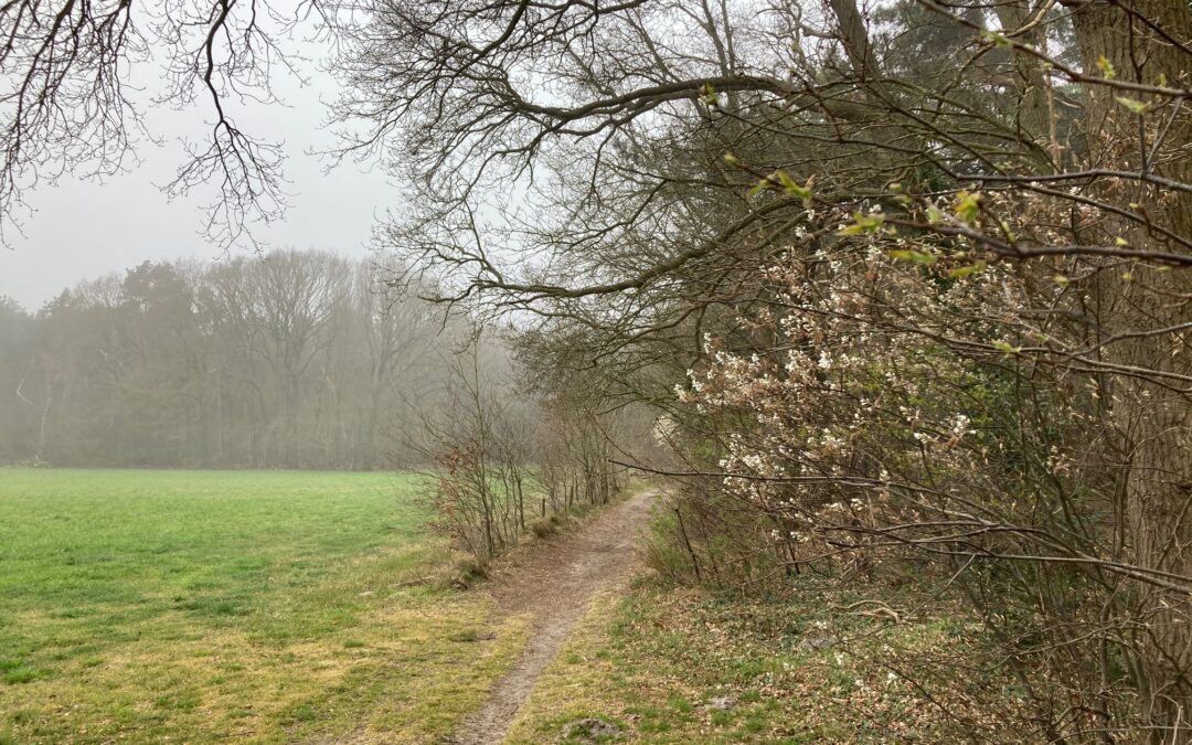 Wandelen door verleden en heden