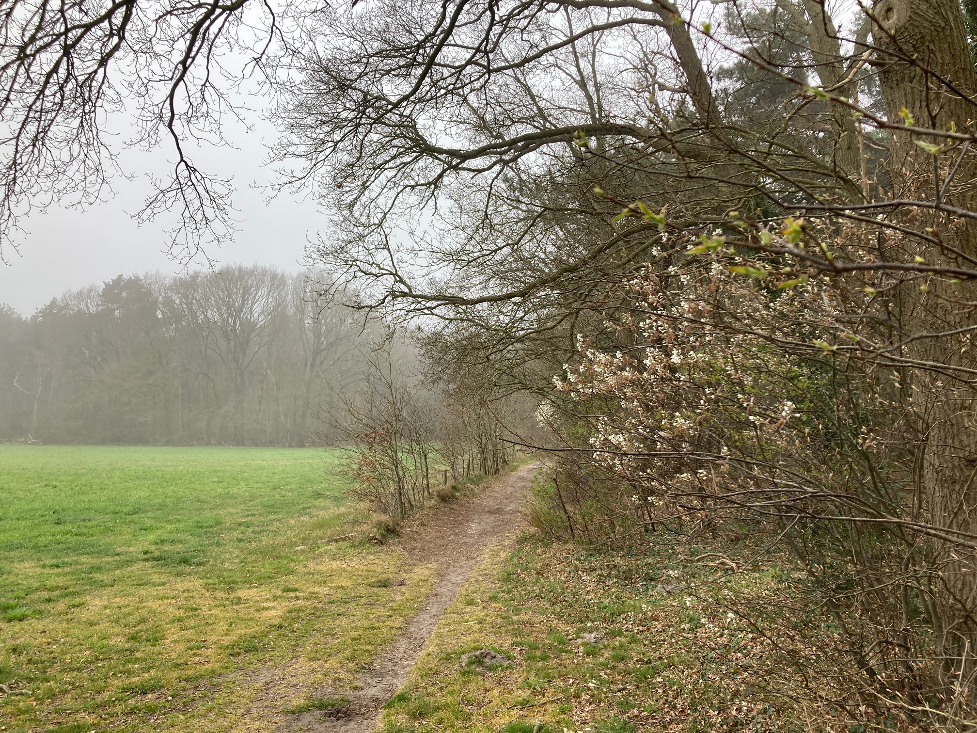 Wandelen door verleden en heden