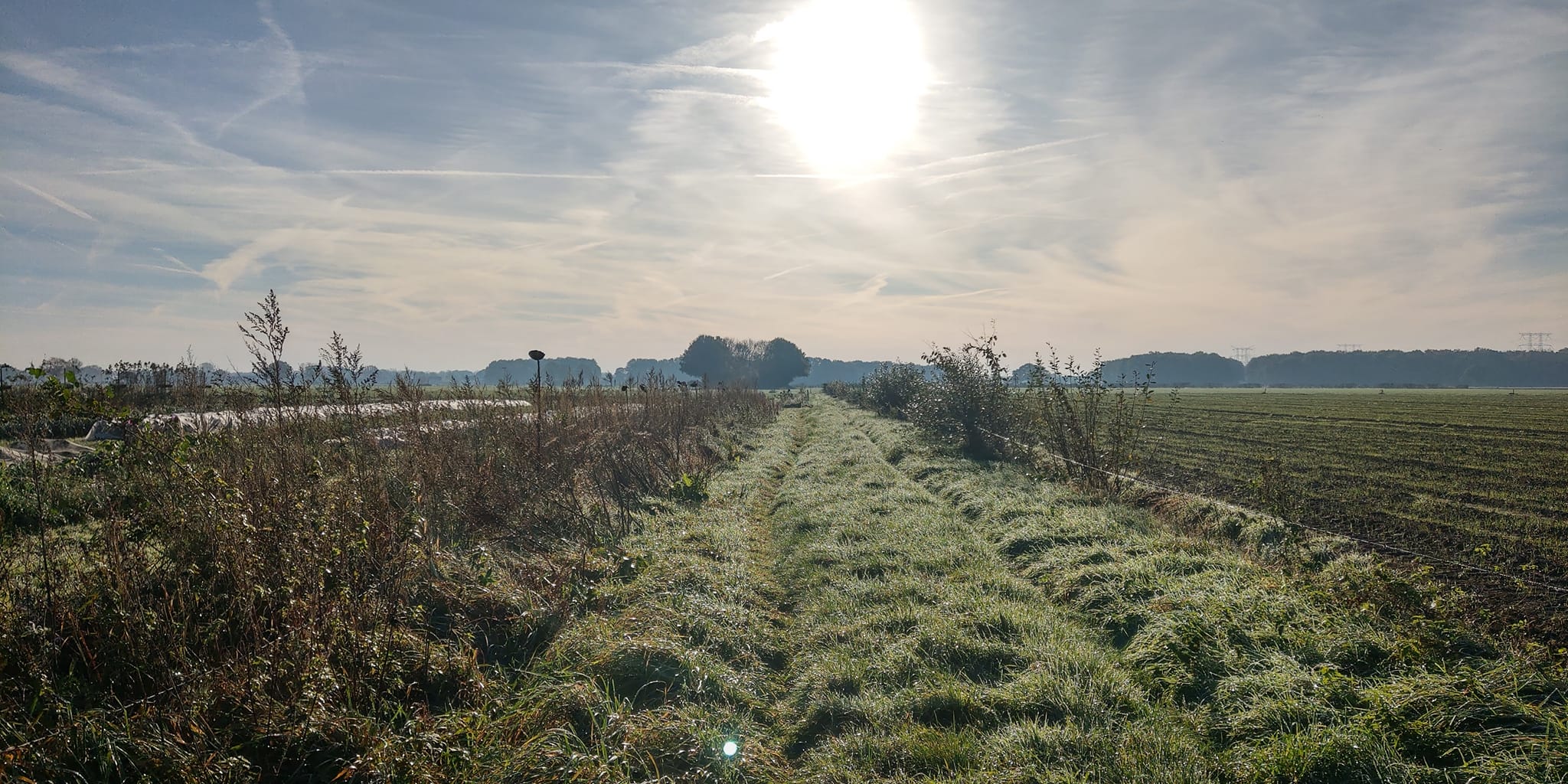 Schitterend licht . . . trailrunner op Pauwelspad