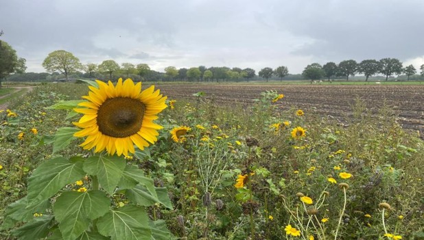 Pauwelspad -deel 1- van Koningsoord naar Witte Kasteel