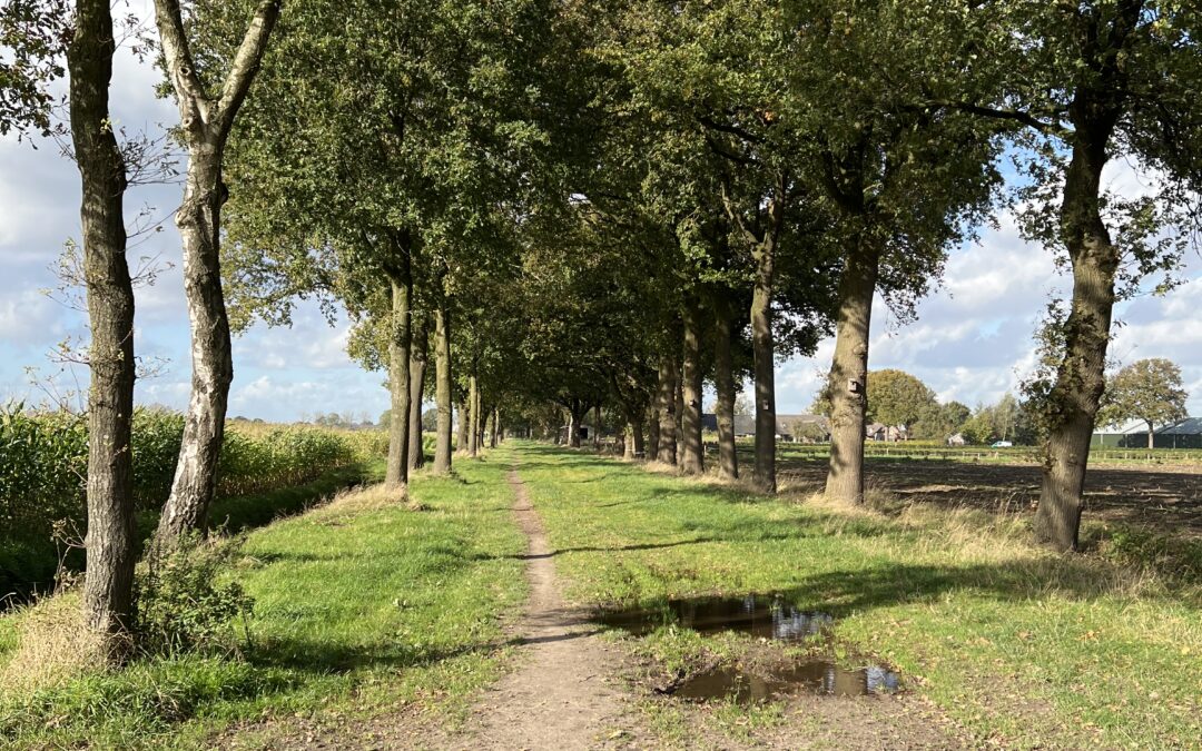 Zandpaden