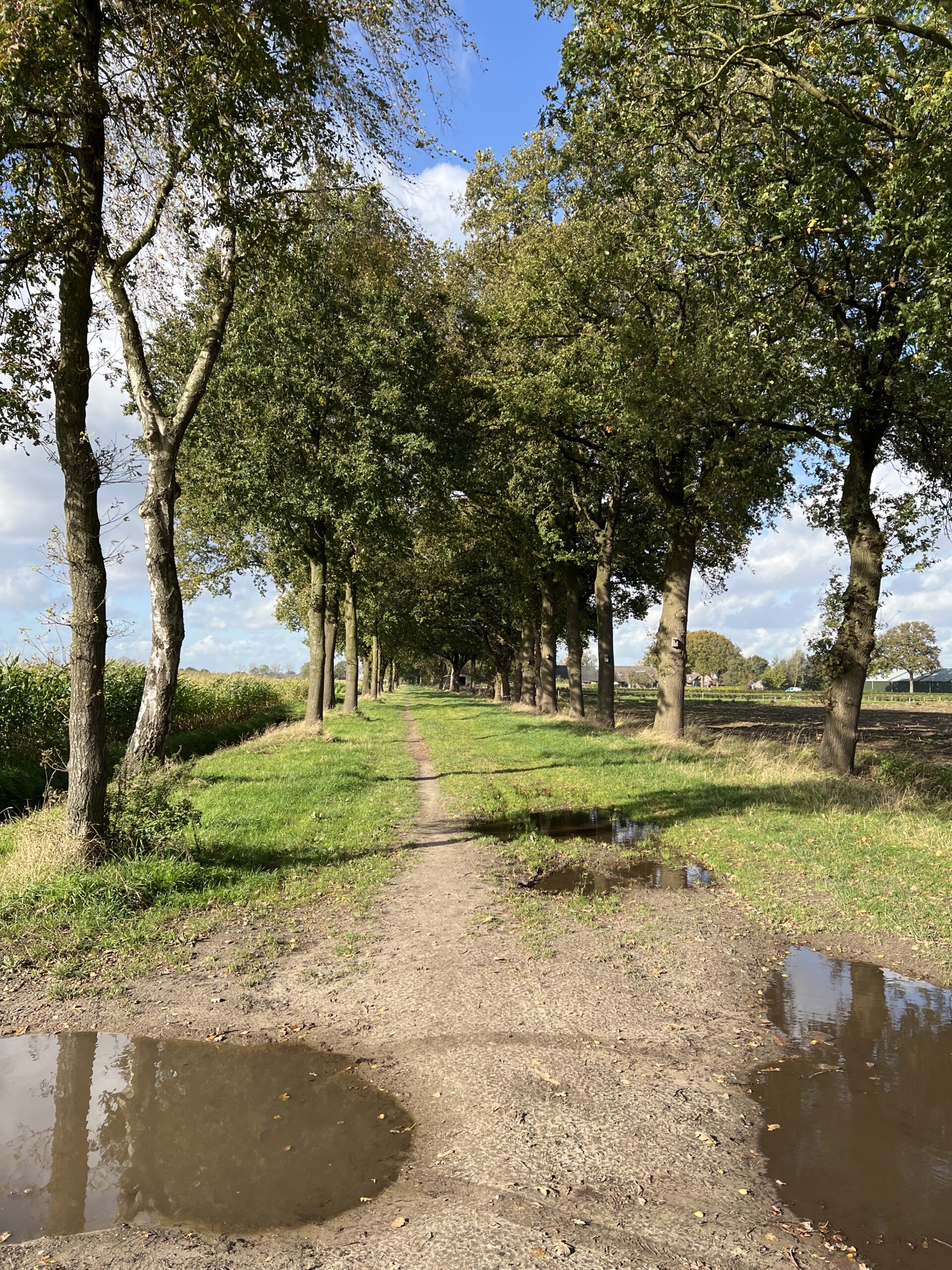 Zandpaden