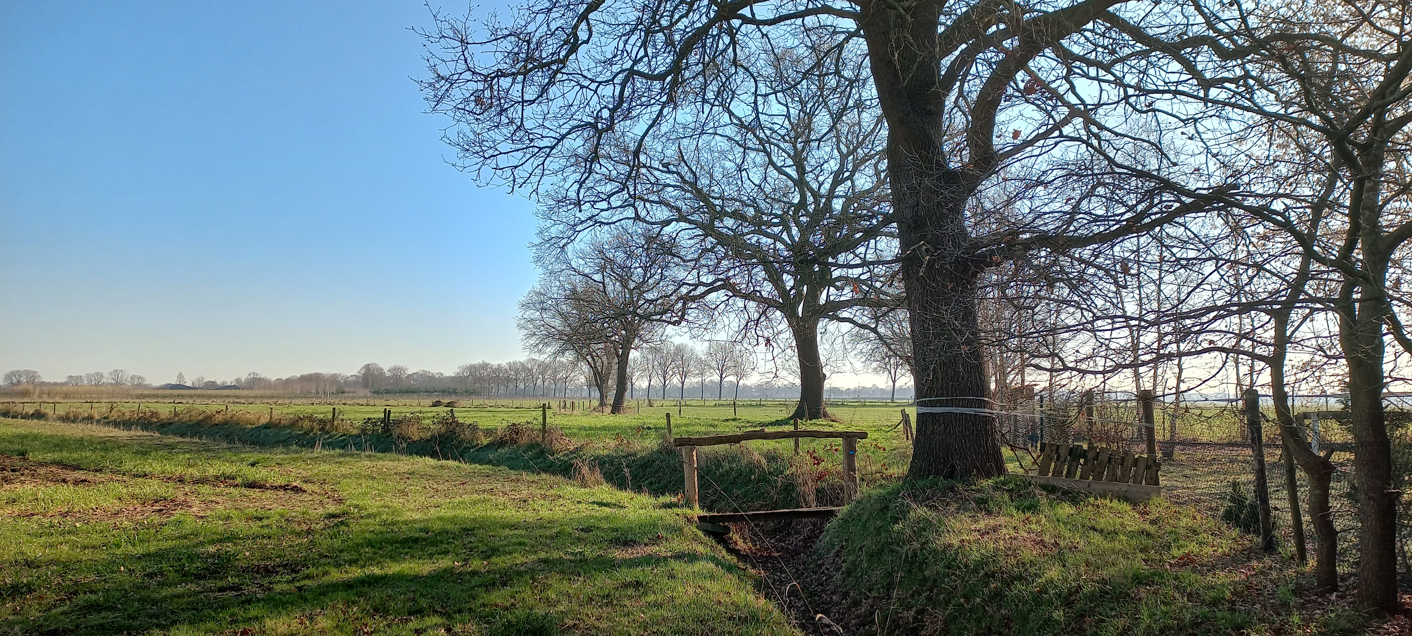 Nieuw ommetje: Peerke Donders-Vijfhuizen