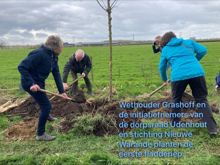 Bomen zijn geplant