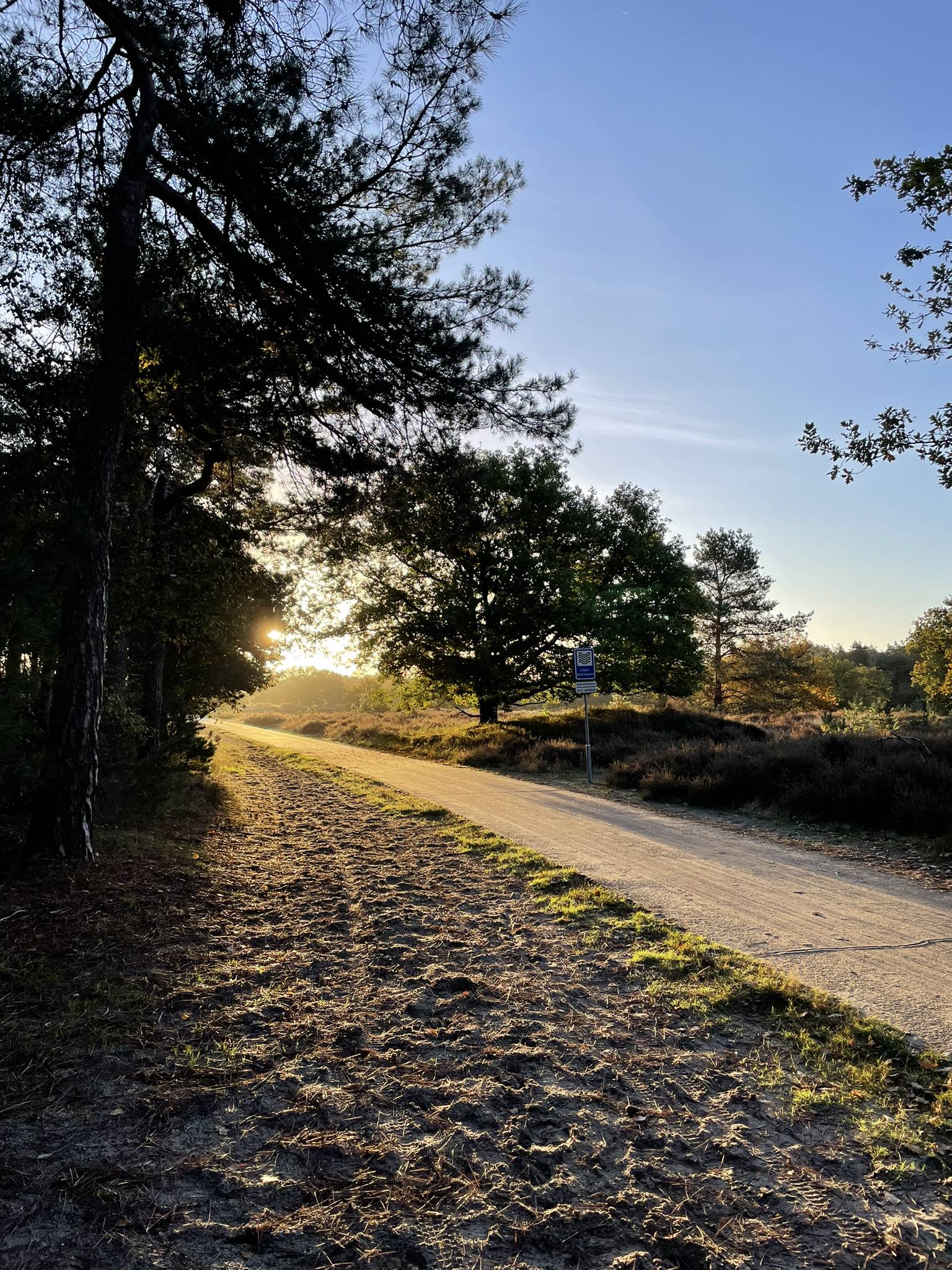Rondje Pauwelspad