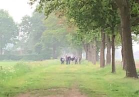 Wandelen door verleden en heden