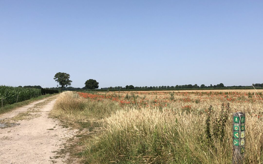 Bericht in ‘De Duinkoerier’