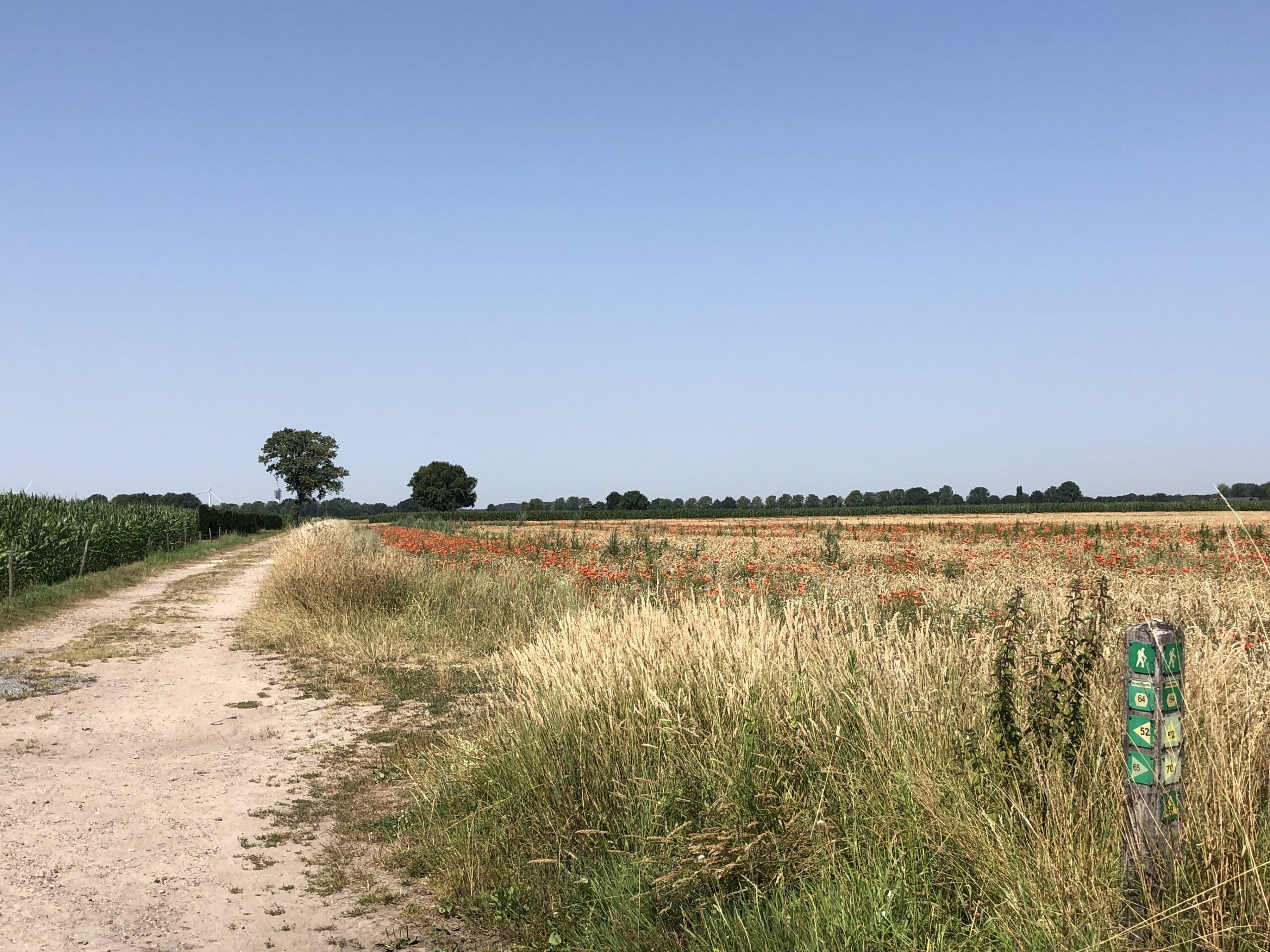 Bericht in ‘De Duinkoerier’