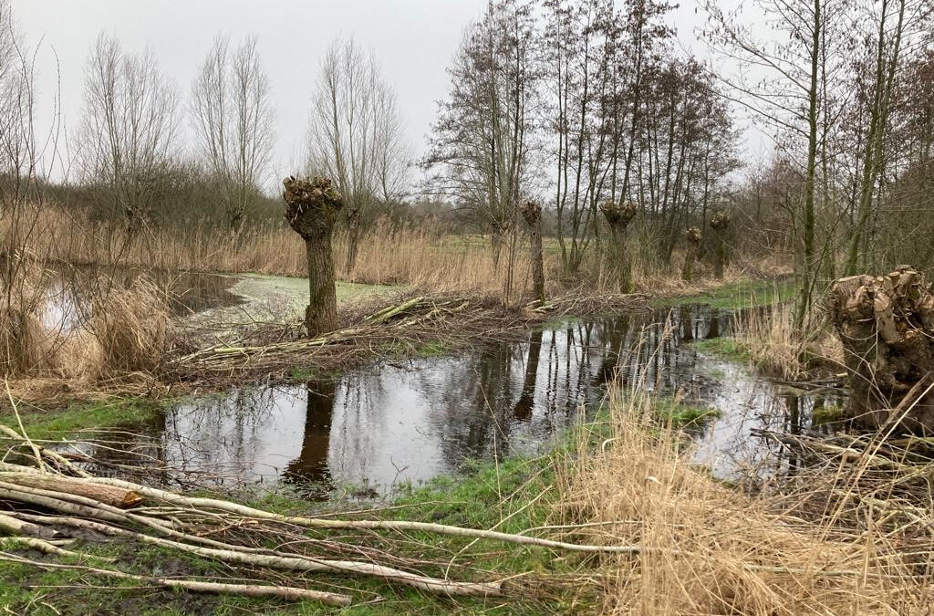 Let op! route door de Brand erg nat
