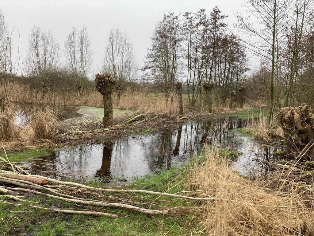 Let op! route door de Brand erg nat