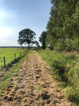 Er is gelukkig weer gemaaid!