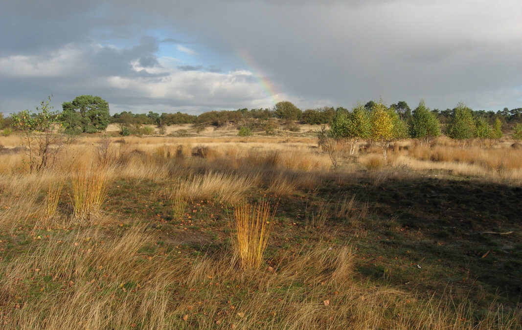 NKBV wandeling Pauwelspad