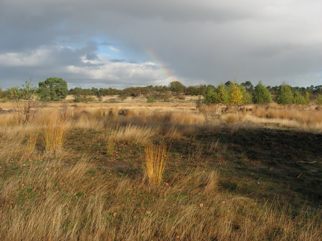 NKBV wandeling Pauwelspad