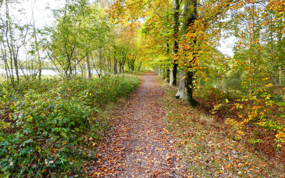 Bericht op website Wandelnet