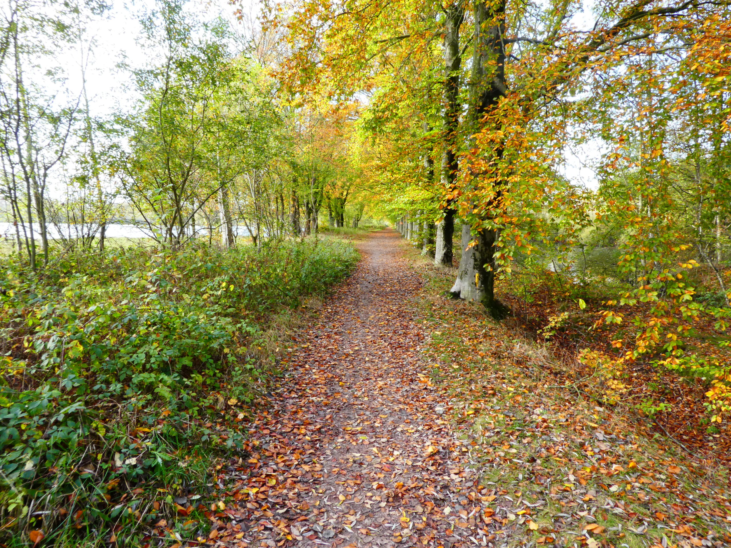 Bericht op website Wandelnet