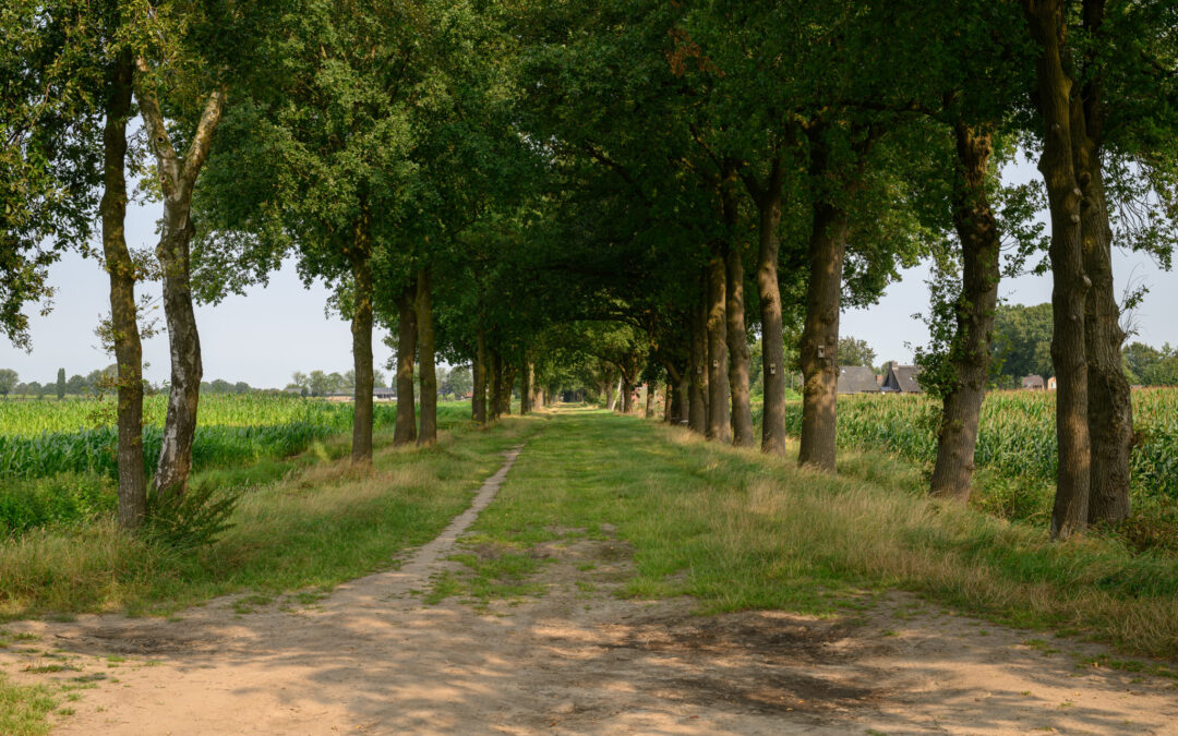 Wandelknooppunt 41 is vervallen