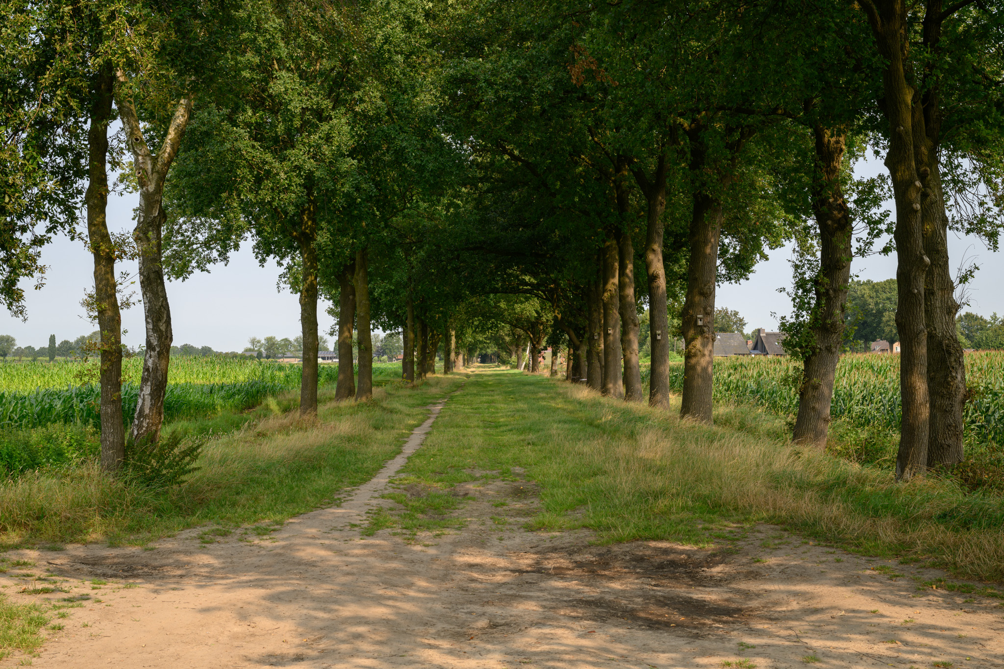 Wandelknooppunt 41 is vervallen