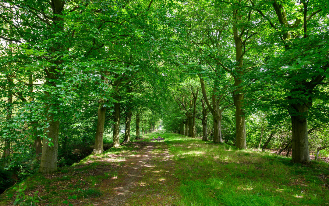 Pauwelspad (33 km)