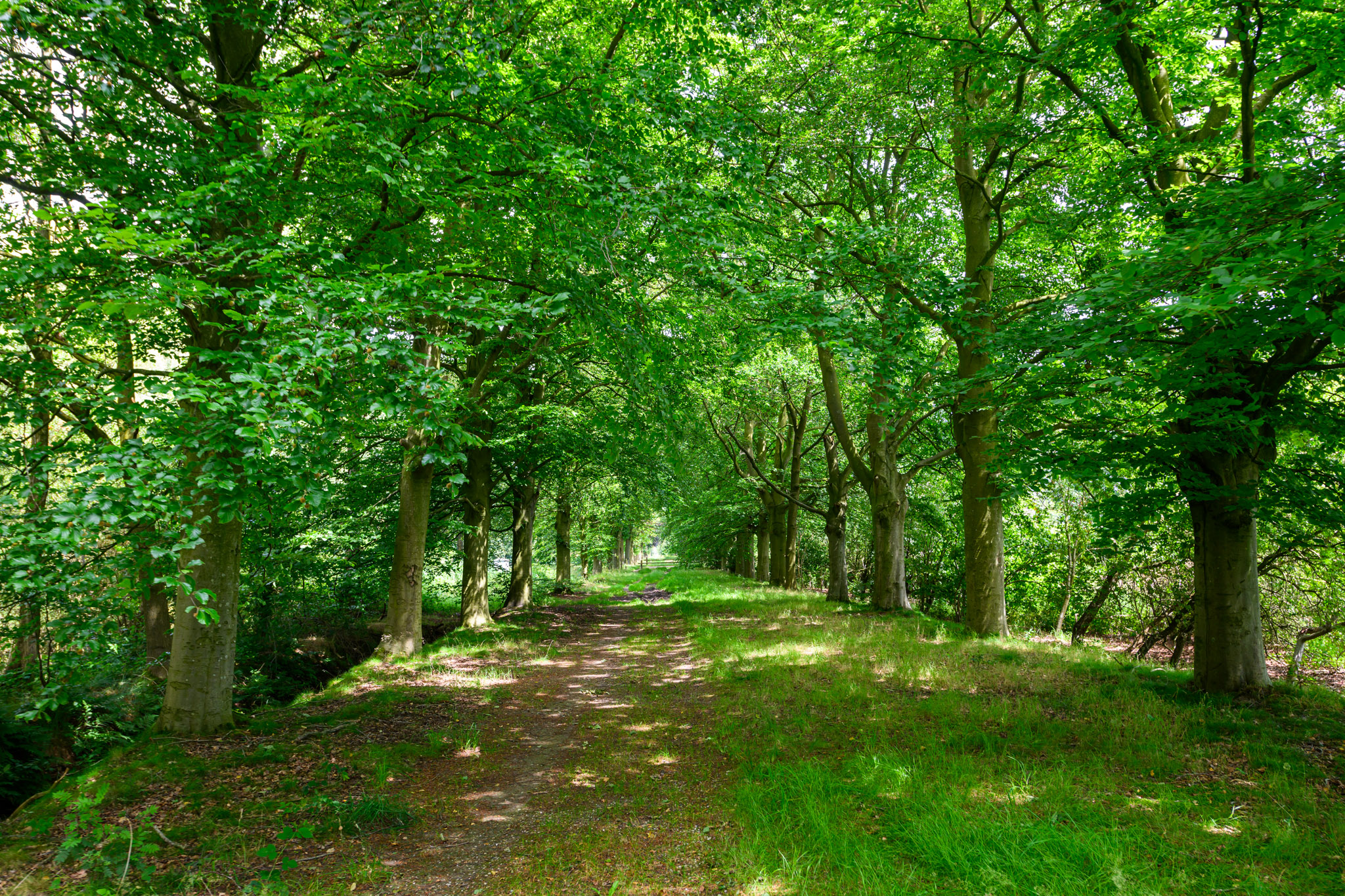 Pauwelspad (33 km)