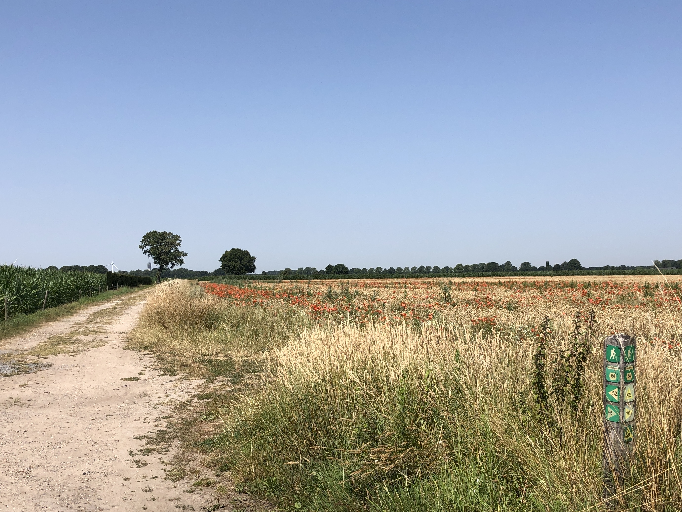 Bericht in Stadsnieuws: Wandelen over het Pauwelspad