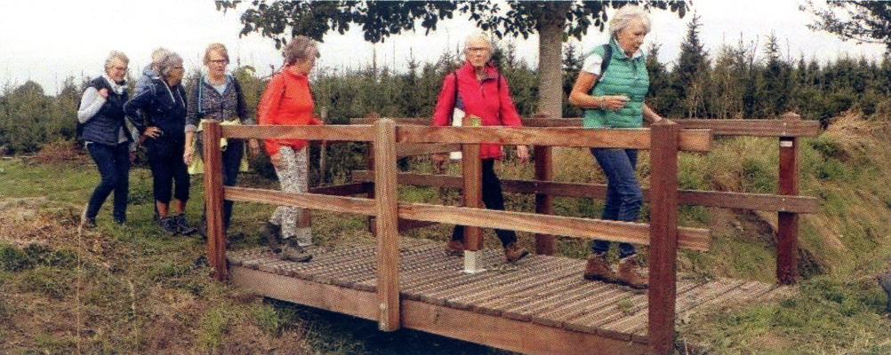 Senioren Vereniging Loon op Zand loopt Pauwelspad